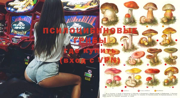 PSILOCYBIN Аркадак