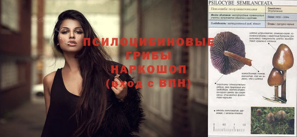 метадон Пересвет