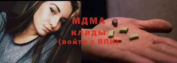 PSILOCYBIN Аркадак