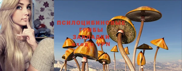 дживик Арсеньев